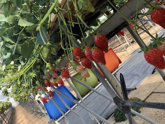 �Ԃ��ė��̑傫���͕P_������������