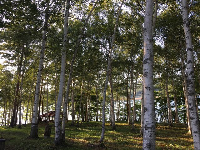 ������_�⓴��