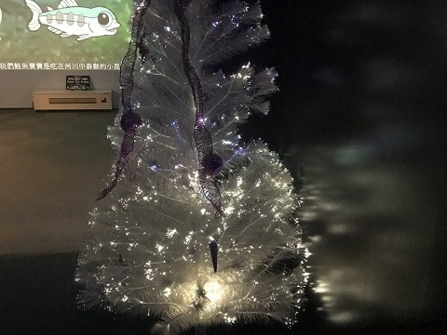 ���̐�����_�C���f�B�A�����ԁi�T�P�̕ߋ��ԁj