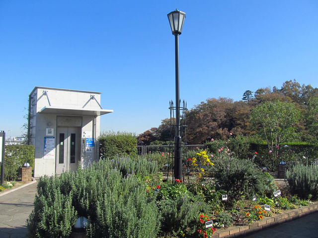 �G���x�[�^�[�ŉw���D���֍s���܂�_�A�����J�R����