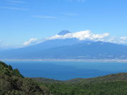 1962̂܎RLv̓eʐ^1