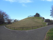 �[�o�X�e�B�A��04����̖{�q�R�������̓��e�ʐ^2