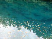 ́uMB̖E鐅v@o̐̓eʐ^1