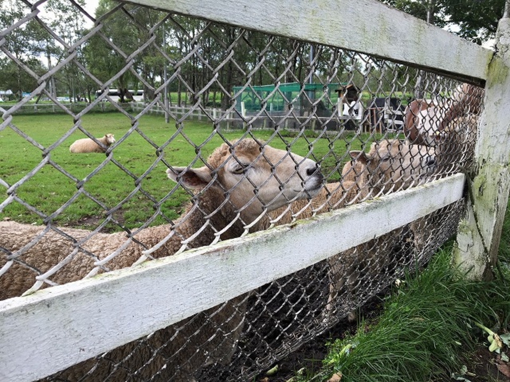 千歳市の観光スポットランキングtop10 じゃらんnet 千歳市の観光スポットランキングtop10 じゃらんnet