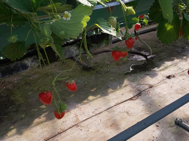 �����₷���ėǂ������ł�_�[��_��