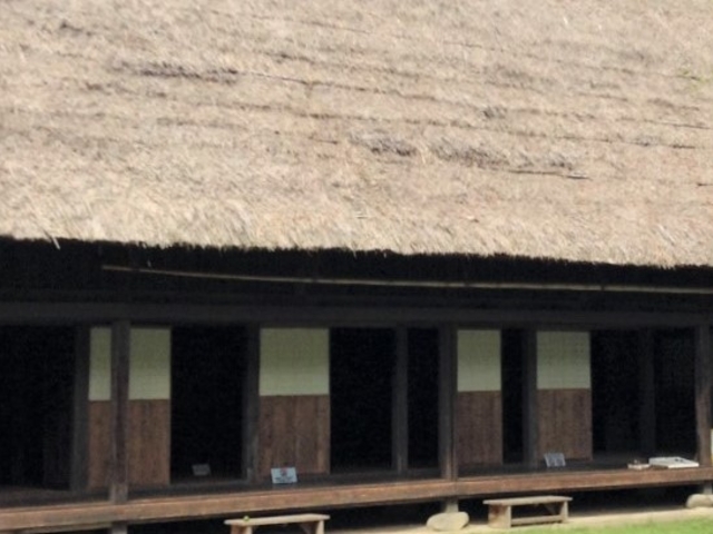 �ŗt���̖���_���Ɖ�