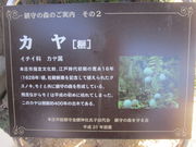 W{WFbg̋s_Ђ̃NXmL̓eʐ^3