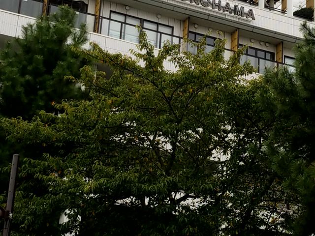 ̓Jbvk[h~[WAp[NɂȂĂ܂B_l݂ȂƂ݂炢@ty