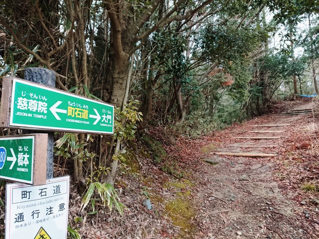 ����̂�������̒��Γ��̓��e�ʐ^1