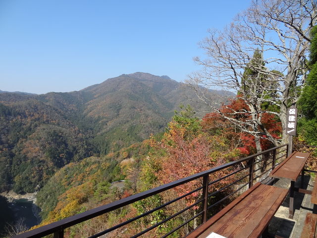 yHX̗ɂW]@ےË܂_R|Yp[NEFC