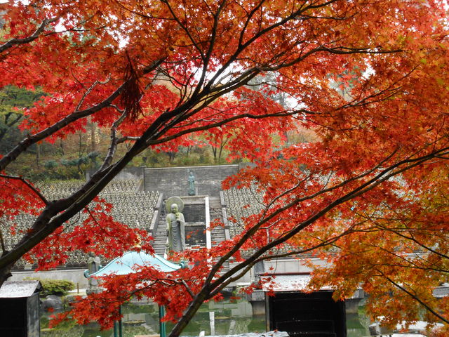 �Z�n���r���猩���g�t_�ێR�ω���