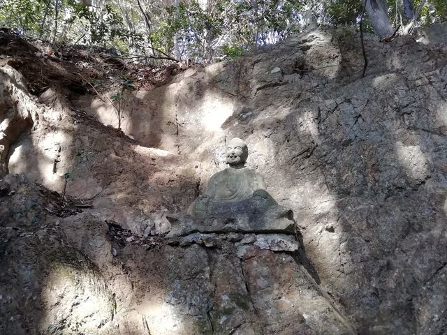 �ɂ��₩�ȏΊ�̏\�Z��������̂ЂƂ�_�V���R