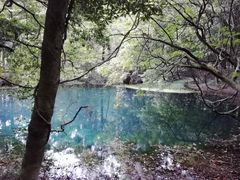 DoubleO7̊ےrlւ̓eʐ^1