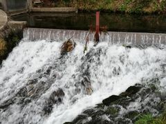 DoubleO7̊ےrlւ̓eʐ^2