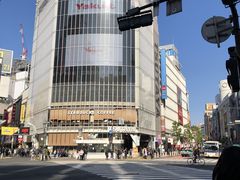 cinnamon̏aJwOXNu_ւ̓eʐ^1