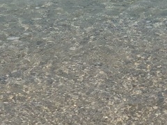 [ҁ[̃RhCr[`ւ̓eʐ^1