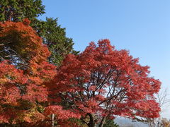 񂳂̗R|Yp[NEFCւ̓eʐ^1