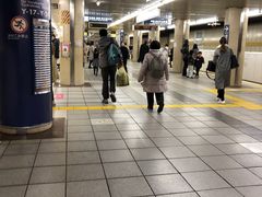 cinnamon����̓������g���L�y���� �i�c���w�ւ̓��e�ʐ^1