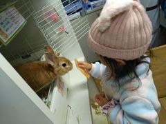 ݂̂JtF@тсyr܁zւ̓eʐ^1