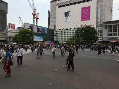 QBC̏aJwOXNu_ւ̓eʐ^1