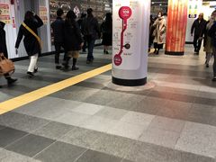 cinnamon̏aJ݂ւ̓eʐ^1