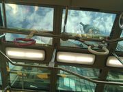 ݂̏E󑐐 XJCc[VgoX̓eʐ^1