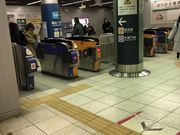 cinnamon̓gR꒚ډw@E̓eʐ^1