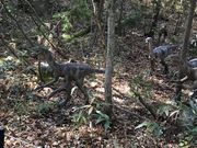 ݂̂܃fBmp[N̓eʐ^1