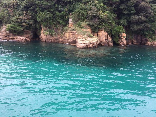 �V���N���[�W���O_�C�m��