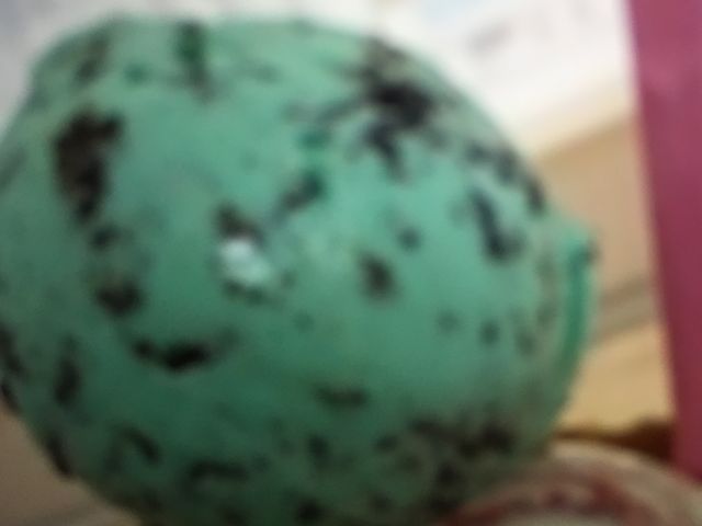 }񂳂̃T[eBACXN[CI[a̎RX̓eʐ^1