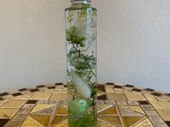 mochañ~mt[ւ̓eʐ^1