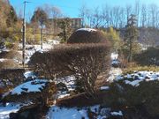 낽񂳂̍Ɠق̓eʐ^1