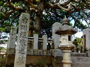 ���ǁ[����̋g��o�Ƃ̕�̓��e�ʐ^1