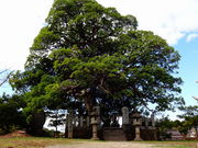 ���ǁ[����̋g��o�Ƃ̕�̓��e�ʐ^3