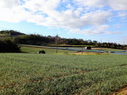 ǁ[̒捻ũbLẺԂ̓eʐ^1