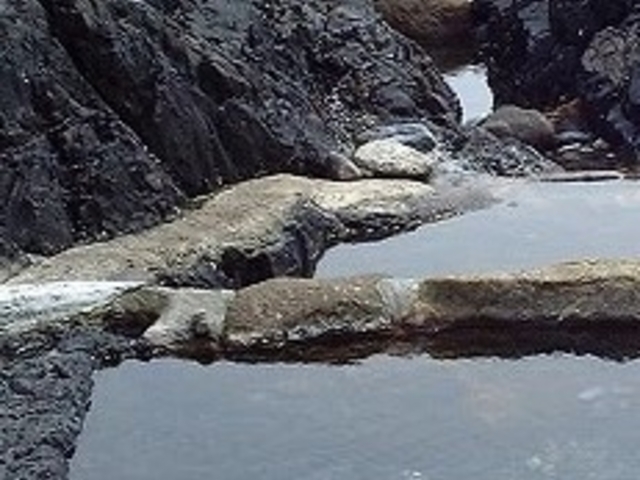 �����C������_�����C������