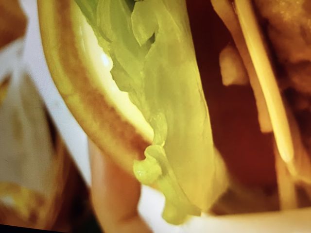 }񂳂̃Xo[K[XX̓eʐ^1