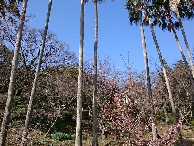 V̖؂Ɖ͒Í_{nԐ_ЖƑRL