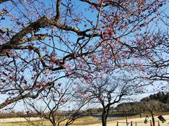 jun����̐�g�����ւ̓��e�ʐ^1