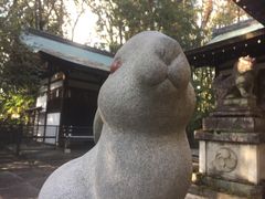 Ƃ񂳂̓V_Ђւ̓eʐ^1