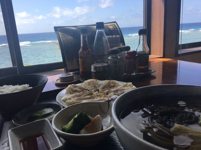 �^�_�̔������C����]�ł���X���I_���X���