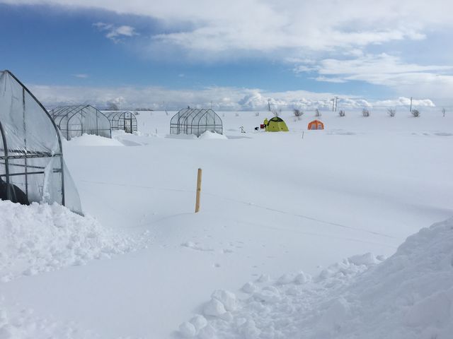 kނ_񂵂̂򂽂Ղ̓