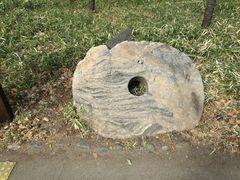 kelly̐Ή݂ւ̓eʐ^1