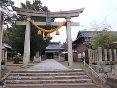 とくちゃんさんの小浜神社の九本ダモへの投稿写真1