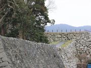 �Ƃ�����񂳂�̏��l�隬�̓��e�ʐ^4