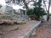 Ƃ񂳂̏l_Ђ̋{_̓eʐ^7