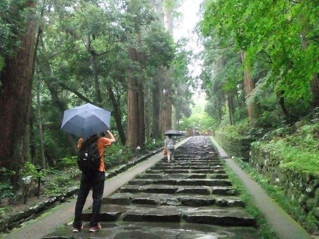 ���P�a�Ɍ������Α���̊K�i�Ɛ��ؗ�_���P�a