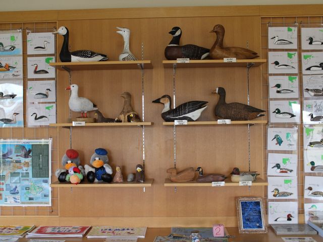 �f�R�C_�{���������E���n�Z���^�[