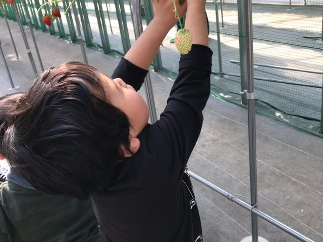 2�΂̑��q�͎����Ŏ���ĐH�ׂĂ��܂�����_�q���t�@�[��