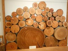 ݂񂳂̖؍ށEقւ̓eʐ^2